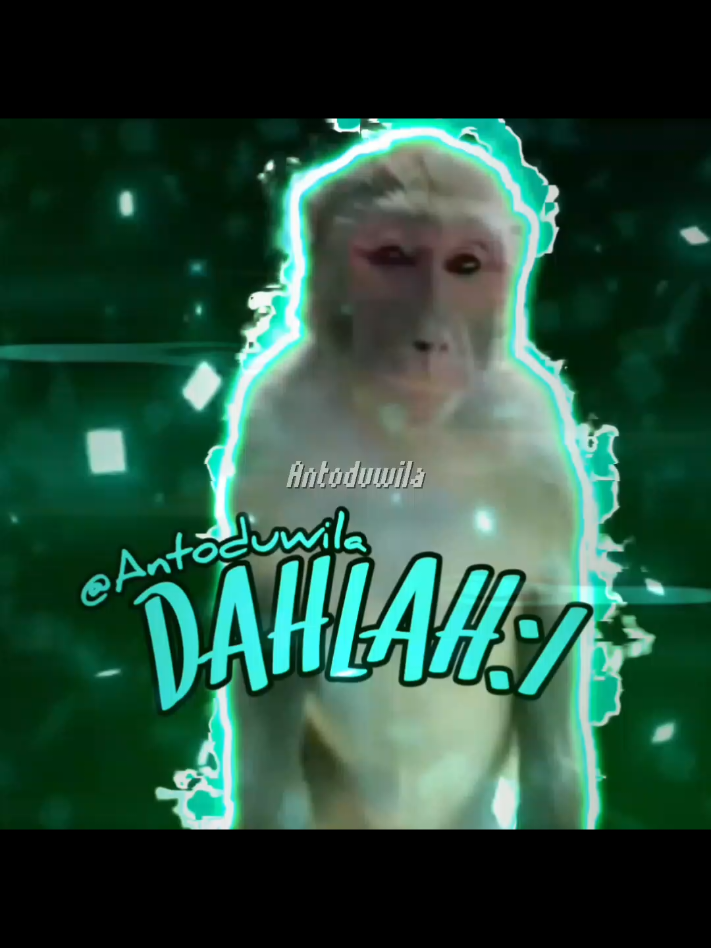 🐒: Yàa wái jai krai tháng sîn _ Thī̀ p̄hid h̄wạng #jedagjedug #editorberkelas #editorberkelasiscomback #jjold #jjoldcomeback 