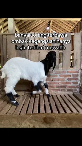 jangan sampai yaa  🤙🏽🤙🏽🤙🏽