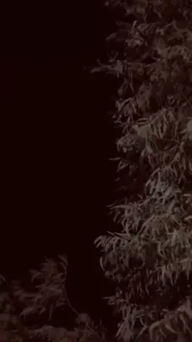 أجواء الشتاء بدئت تقرب ❄️🌧️✨