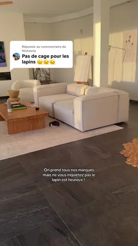 Réponse à @Histauria 
