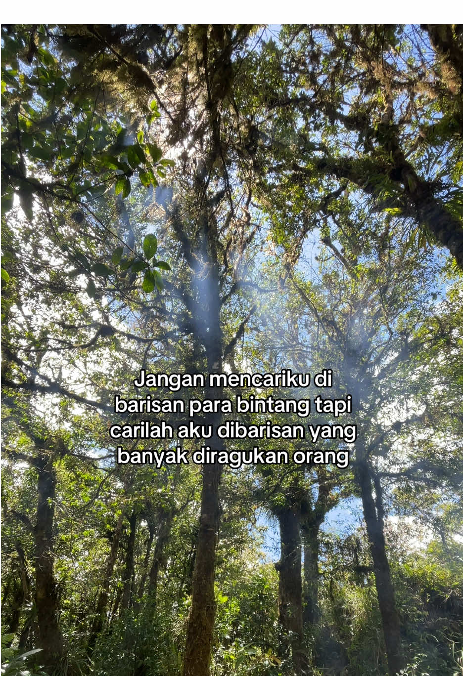 📍Gunung seulawah agam, aceh besar, aceh #gunungseulawah #pendakiaceh #wisataaceh #wisataacehbesar #wisataalam 