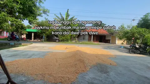 pol syahdu nak ngunui😭🤣#jagung #fypppp #masukberanda #fypシ゚ #fyppp #fyp #fy #4u #4upage #masyaallahtabarakkallah @Indah s 