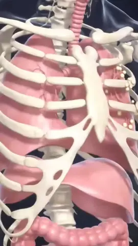 #drlusog#health#healthtipshealthawreness#healthylifestyle