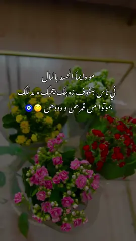 #يبلا_عيونكن_بالقلع🙂💔#زوجي_حبيبي #حبيب_الروح💙 #سعادتي_معك❤#CapCut 