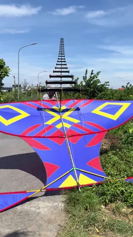 Đâm k đc ổn#diều_sáo_việt_nam #diều_sáo #diều #xuhuong #xuhuongtiktok 