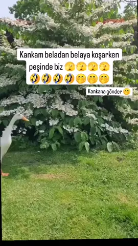 #erinnerung #KEŞFETTEYIZ TIKTOK #😁😁😁😂😂🤣🤣🤣👏👏👍 ☕🍫🍓