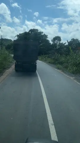 #CapCut #fyp #supiranum #fypage #sawitontiktok 