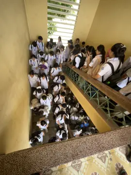 đông vui quá nhờ