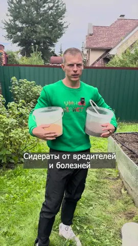 Сидераты от болезней и вредителей — что посеять осенью? 1️⃣ Горчица белая ✔️ Действительно сильный сидерат. – Подавляет возбудителей болезней (фитофтора, ризоктониоз, нематода). – Наращивает массу быстро, но только до середины сентября. – В октябре уже плохо развивается, при -5 °С погибает. 👉 Значит: сеем в августе – начале сентября. Позже смысла нет. 2️⃣ Календула (ноготки) ❌ В качестве сидерата на осень не годится. – Да, у неё есть фитонциды, которые подавляют нематоду. – Но растёт она медленно, и при посеве в августе–сентябре ничего не успеет. – Календула подходит как сопутствующее растение летом, а не как сидерат под зиму. 3️⃣ Тагетес (бархатцы) ❌ Тоже не подходит для осени. – Бархатцы действительно известны как одно из лучших растений против нематоды. – Но при посеве в августе–сентябре они не успеют вырасти и подействовать. – Их используют весной или летом. 4️⃣ Редька масличная ✔️ Реальный сидерат для осени. – Отлично растёт в холод, выдерживает заморозки до -5…-7 °С. – Быстро даёт зелёную массу. – Подавляет патогены и нематоду, разрыхляет почву. 👉 Можно сеять даже в конце сентября – октябре. 📌 Вывод по проверке – Реально работают осенью в средней полосе: ✅ горчица белая (август – начало сентября), ✅ редька масличная (август – октябрь). – Календула и бархатцы — да, они против нематоды и болезней, но это летние растения, для осени не подходят. Если их посеять в августе – в открытом грунте они уже не успеют нарастить массу и погибнут.