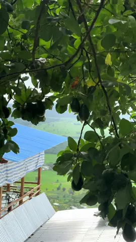 Nhà có j ăn nấy ai ăn hì thú#xuhuon 