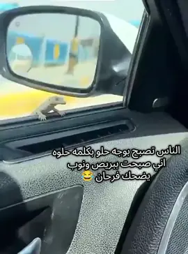 يخبل جنه لابوبو #اكسبلور #مشاهير_تيك_توك #احبكم_يا_احلى_متابعين #لايك_متابعه_اكسبلور #وصلونه 200متابع 