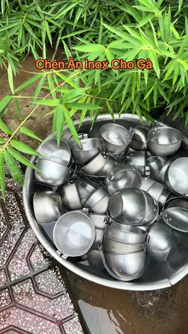 Máng ăn inox cho gà xài siêu bền , rất đẹp , và khi máng dơ vệ sinh rất nhanh nhìn như mới @Phụ Kiện Chiến Kê 62 @Gà Tre Phụ Kiện Chiến Kê 62 #manganinoxchoga #gaoaninoxchoga #chenaninoxchoga #phukienchienke62 #xuhuong 