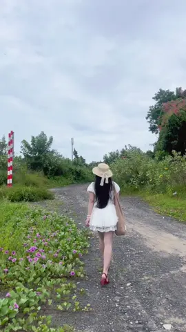 Vùng biển gần Đèo nước ngọt thật hoang sơ, yên ả và thơ mộng 🌊🌿🍃 #xuhuong #phuochai #langchaiphuochai #vungtau #foryoupage 