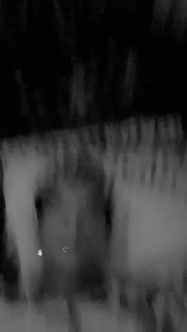 এই ভিডিওটা ভাইরাল হতে চাই 🥹🥹🥹🥹