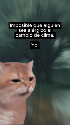 No soy flojo, soy edición limitada: versión sensible al clima. 😂 #CambioDeClima #Alergias #HumorDeVida #HumorCotidiano