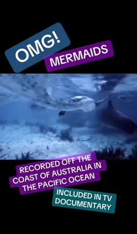 OMG! AMAZING MERMAIDS #mermaid #siren #cryptid #sea #fyp 