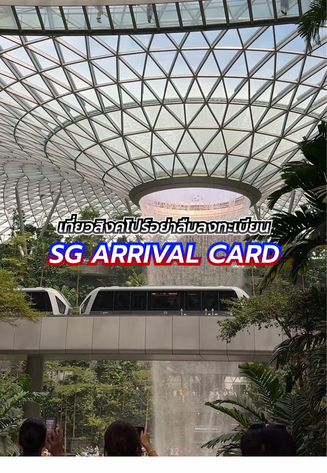 ไปเที่ยวสิงคโปร์อย่าลืมลงทะเบียน SG Arrival Card กันด้วยนะทุกคน #sgarrivalcard #เที่ยวสิงคโปร์ #กรอกเอกสาร #singapore #เต้ยพาเที่ยว 