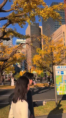 Mùa thu ở ga tokyo