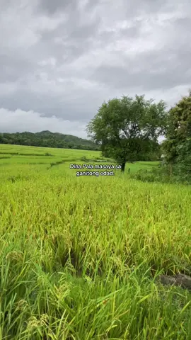 #fyp #foryoupage #nature 