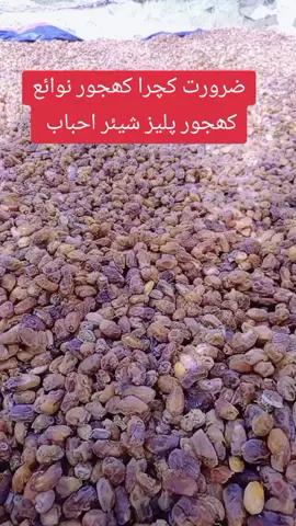 #tiktok #flower #maryamnawaz #eveyone #maryamnawaz @Malik Nasrullah Naich @HADI LOUND @Zafar Malghani @Haji Azhar Ramdani @Dr Muddaser Birmani @میرانی😘 @Manzoor Ahmed @sardar mehboob khan langha @ASIF BALOCH 