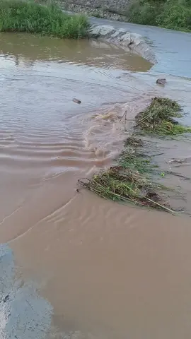 #funny #cute #animals 