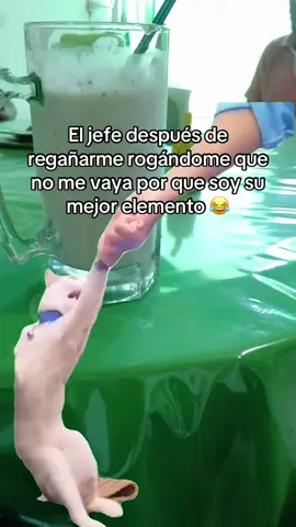 #Meme #MemeCut #chiste #memes @creator search insights 