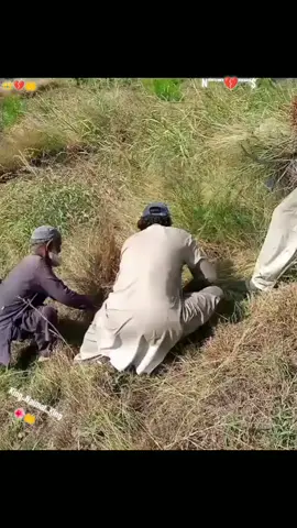 #Please#My#Vral#Video#