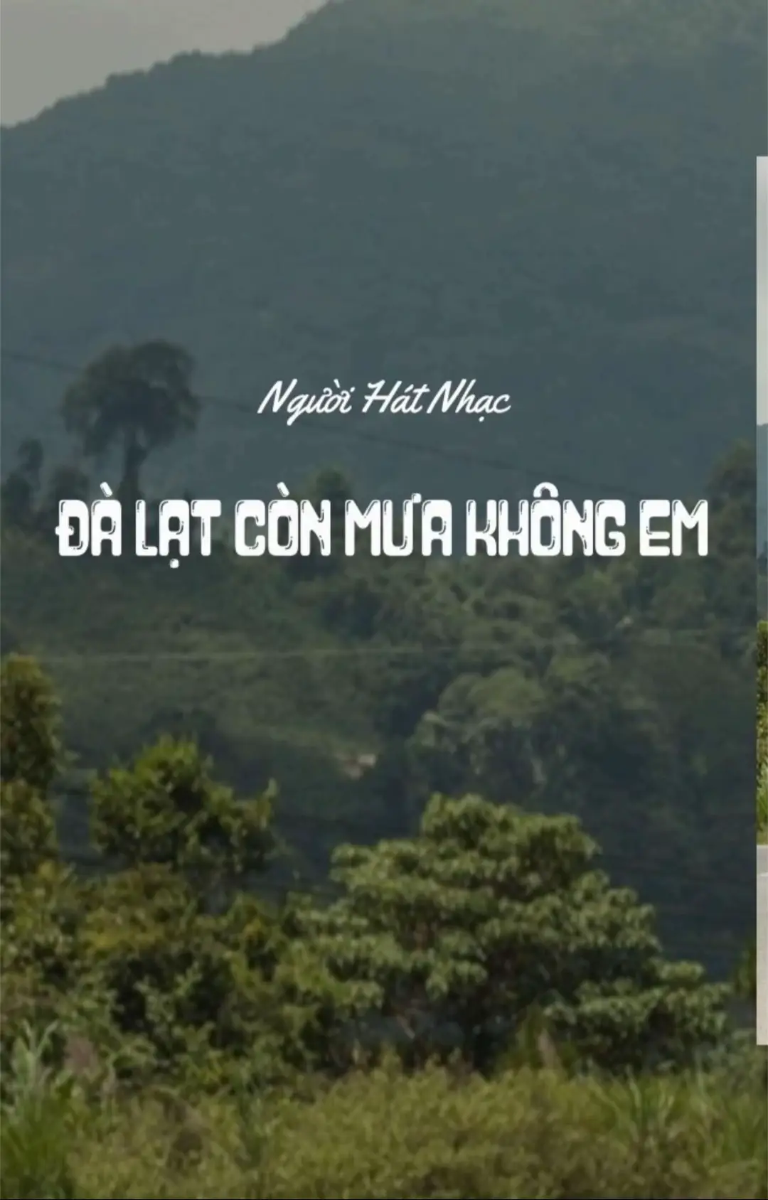 Đà lạt còn mưa không em..! Anh nhớ đà lạt rồi em ơi😂 #xuhuong #dalat #nhachaymoingay #dalatreview 