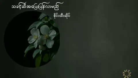 #creatorsearchinsights #သခင့်ဆီအပြေးပြန်လာမည် #စိုင်းထီးဆိုင်     #lyrics 