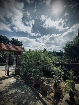 我们以为长大会带来幸福，但得到的只有无人理解的空虚。 Ta cứ nghĩ trưởng thành sẽ hạnh phúc, nhưng đổi lại chỉ là những khoảng trống chẳng ai hiểu.