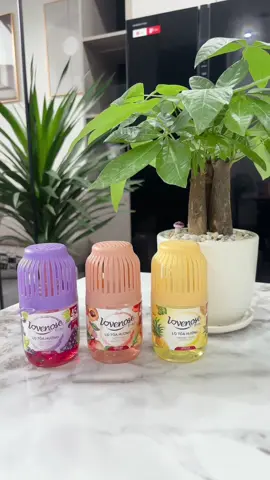 Có lọ toả hương này nhà cửa lúc nào cũng thơm  #lotoahuong #lotoahuonglovenose #tiktok #xuhuong #giadungtienich 