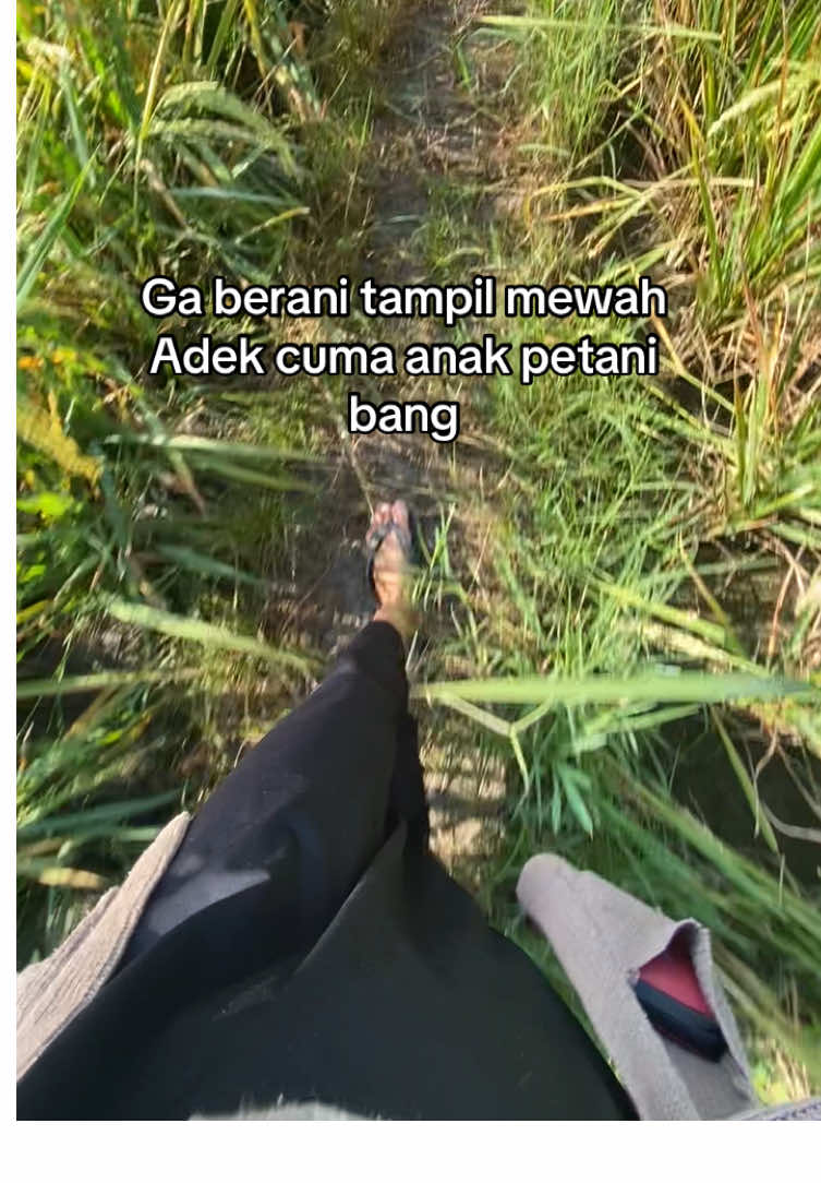 #anakpetani #petanimuda #fyppppppppppppppppppppppp #fypシ゚ #zxycba 