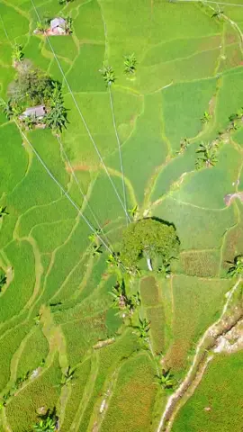 meni indahhhhhhhh..... #alam #pasawahan #kampungsunda 