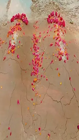 #beshak 🥺😭#abba #Jaan 