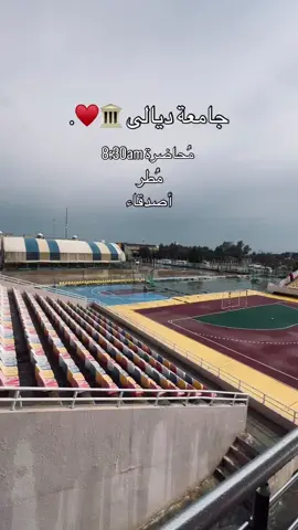 #جامعه_ديالى  my love you 🫶🏻🥹 #الشعب_الصيني_ماله_حل😂😂 