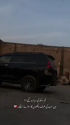 تم اسکو کیا سزا دوگئے ؟🫠❤️‍🩹#fyyyyyyyyyyyyyyyy 