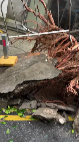 Это вам не коников лепить 🫣