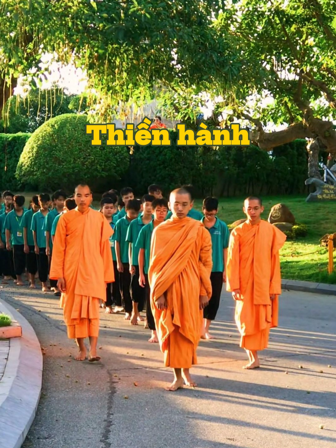 Thiền hành buổi sáng cùng Chư Tăng - Khóa tu Thanh Thiếu Niên chùa Ba Vàng tháng 9 #xuhuong #fyp  #khoatuthanhthieunien #khoatutuoitre #chungphucho