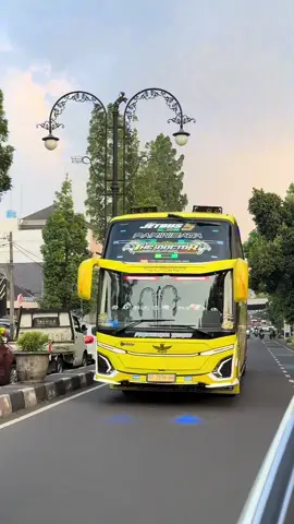 Tabola bale @PRIMADONA TRANS @official_thedoctor002_reborn 