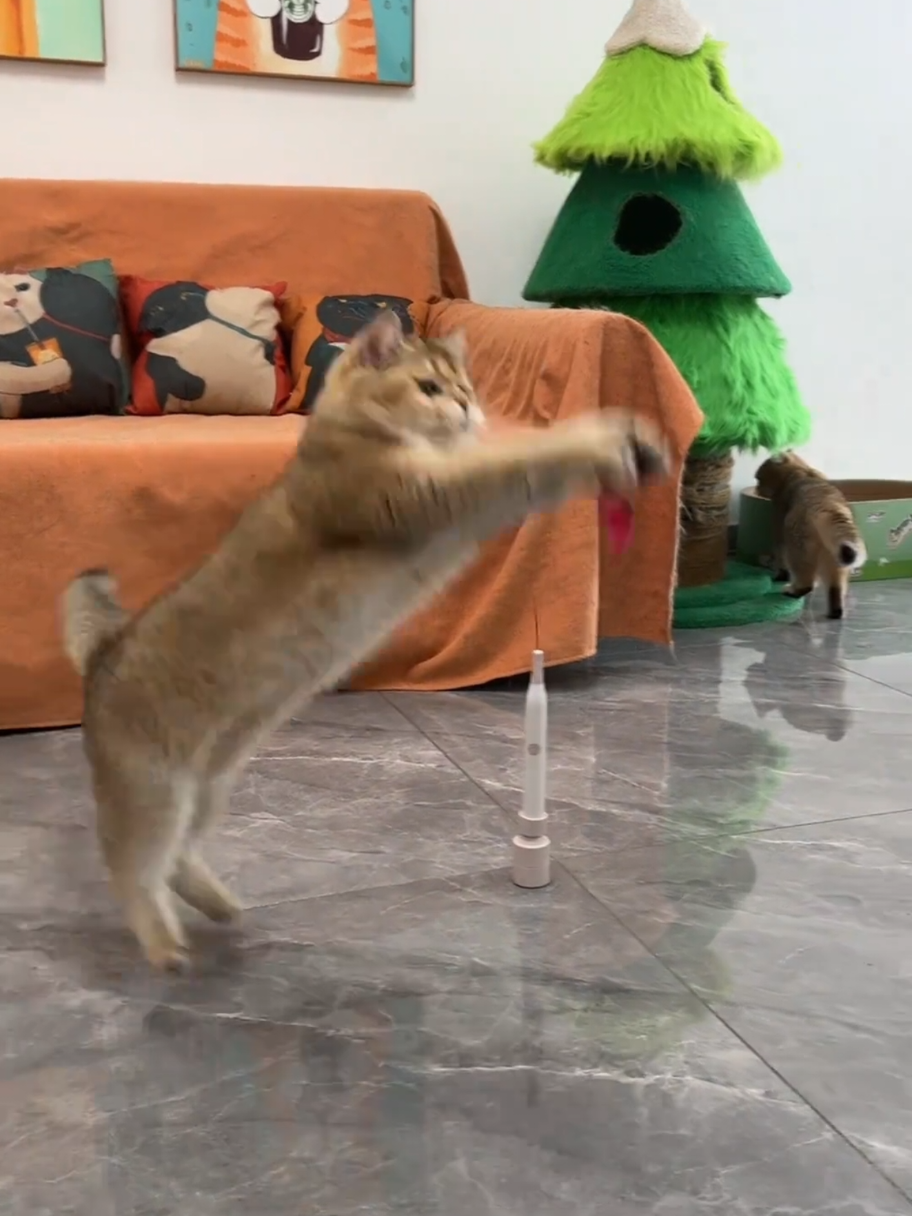 小貓在家也能體驗到抓蝴蝶的快樂 😻 🤩快來試試🆕加長吸盤逗貓棒 放置震動與手持設計輕鬆逗貓🐈 萬向旋轉設計：大範圍、好彎好玩💯 固定吸盤底座：可貼牆面、玻璃、磁性表面，穩固不易掉落✨ 彈力鋼絲結構：耐用不易折斷💪 ✨一款可選： 加長吸盤逗貓棒｜一組 給自己、給毛孩、也給生活一縷溫暖的小確幸🥰 😚讓生活中得到更多實用好物🎶 ✨體驗為生活帶來的科技便利✨ 下單方式 #留言打”+1”#小編閃現回覆下單資訊 ⚠️這很重要⚠️ 💸付款方式 ATM.刷卡.LINE PAY 📦寄件方式 全家.OK.萊爾富$60 全館滿999元享免運😍 台灣現貨配送約2-3天🚛 如剛好缺貨無現貨配送約2週左右✈️ 因天氣.不可控因素可能延誤能接受在下單⛈ 可詢問配送進度🙋 #貓咪 #貓咪的迷惑行為 #鏟屎官的樂趣 