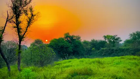 Punjab ❤️🥀👀#pindawale #foryoupage #tiktokpakistan #1millionaudition #communitytiktok 