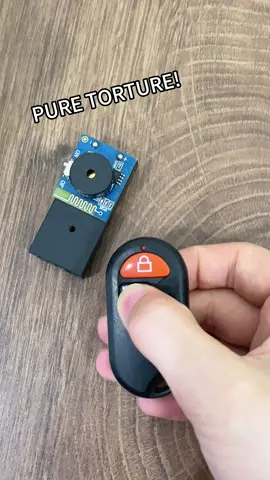 So where would you hide it? #tiktok #tiktokshop #prank #cricketnoisemaker #dealsforyoudays#tiktokbacktoschool #dealsfordays #fpy #funny #prankwars #toys 