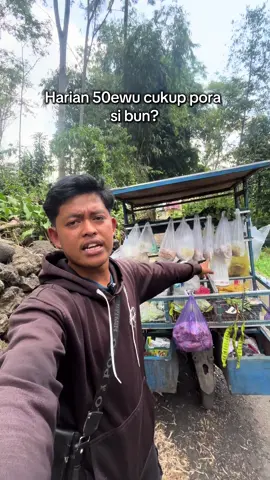 Harian 50ewu kira kira cukup pora bun jare rika pada? #sayur #sayuran #bakulsayur #uang #pemalang 