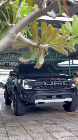 Tiếp tục wildtrak up body raptor mời mn tham khảo #CapCut#bodyraptor2023 #fordnextgen #bapauto #denhau 