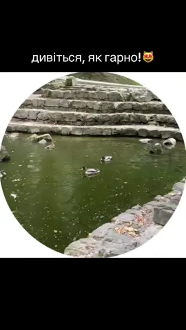 inst: english_by_vk; ТГК: english snippets by vk 