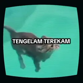 Tipu daya sejarah - The Jansen #tiktokmusic #musiklyrics #catmeme #thejansen #fyp 