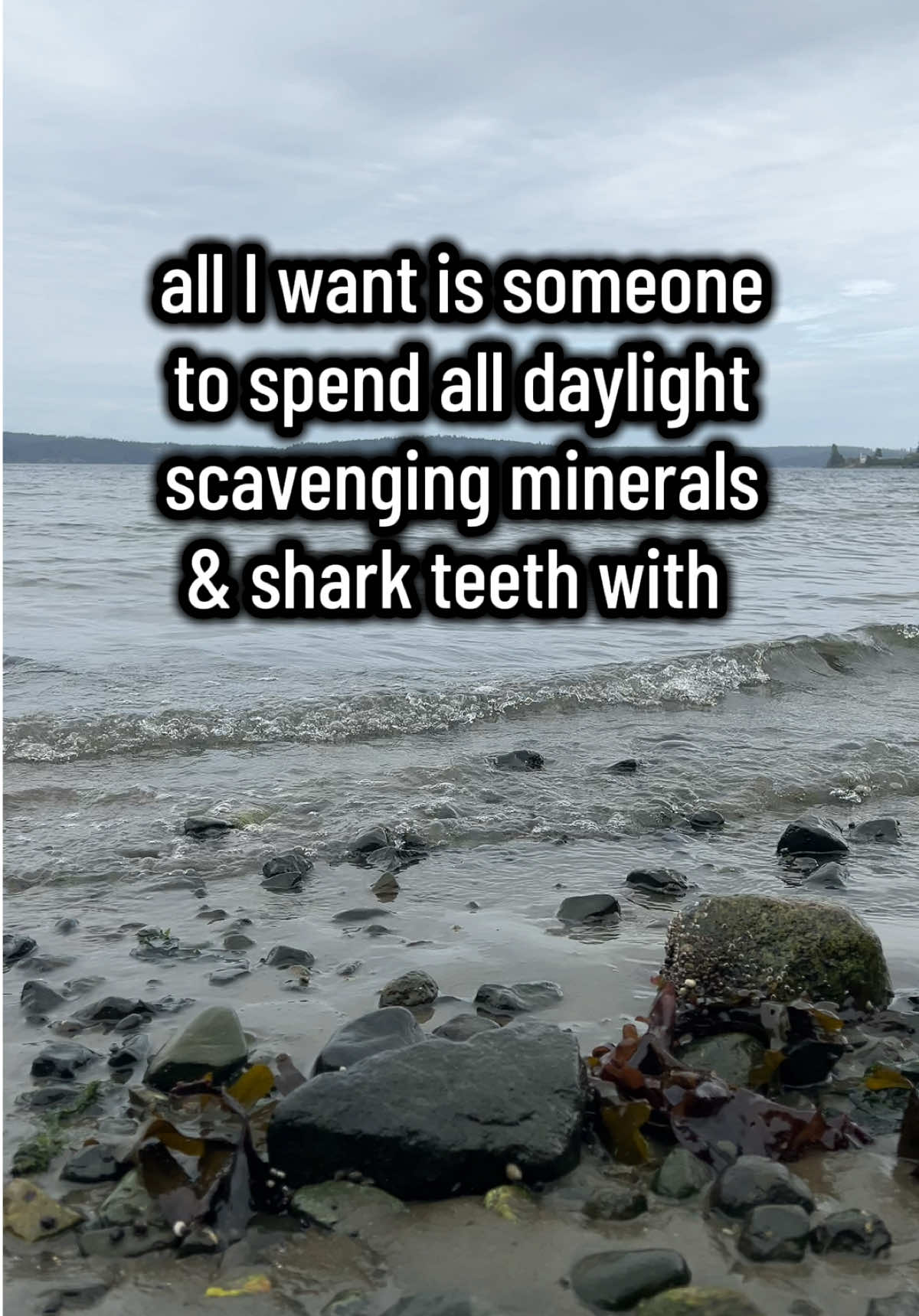 I’m really simple (I’m lying don’t fall for it)  Somewhere along the way, I found sight of the little important things again. Which is me, and enrichment :3  #audhd #neurodivergent #soulmate #bestfriend #hopecore