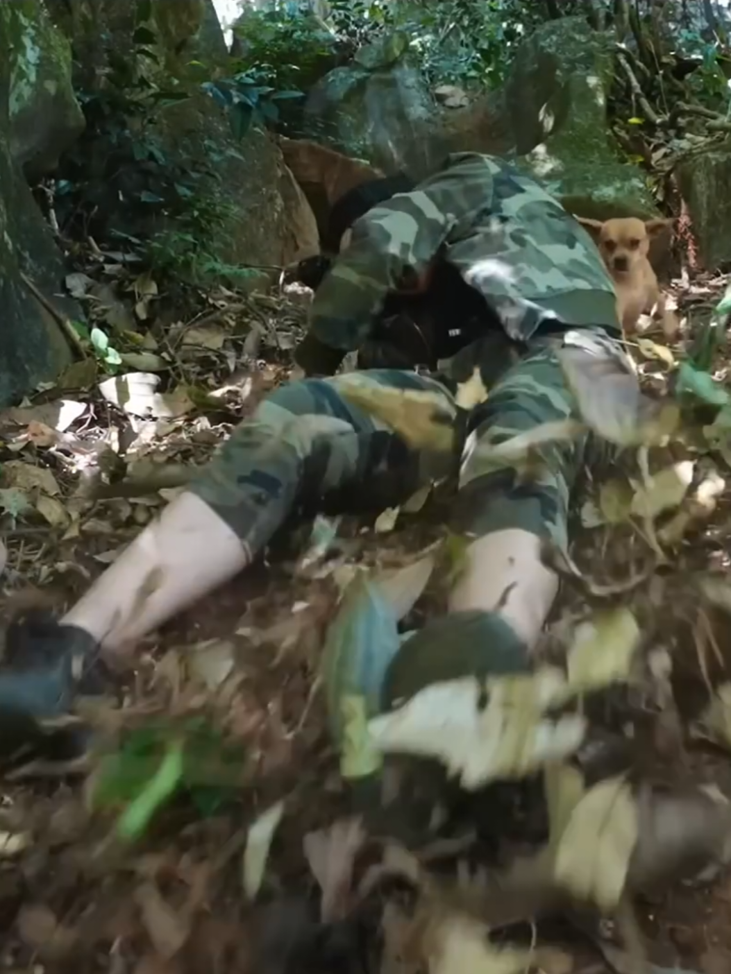 WTF Hunter✅ Mind Blowing - Survival Skills #betamreview #Vlog #shorts #survival 