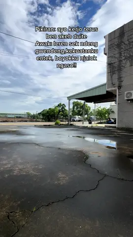 Awak rasane koyok menghubungkan ulang🫩 #lumajang #chiayi_taiwan🇹🇼 #hongkong 