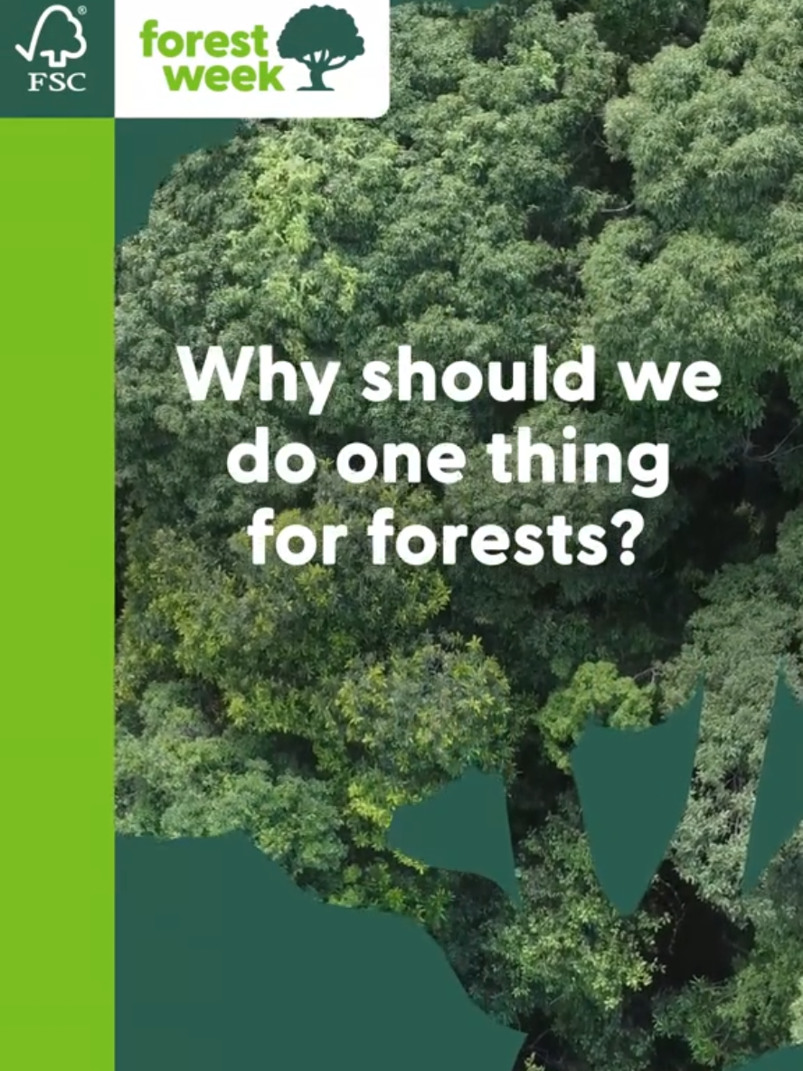 Healthy forests and ecosystems help us no matter where we live. They: 🍎 provide food 💦 clean water and air 🔄 decompose waste 🌊 control floods Without these services, all of humanity becomes threatened. When you do one thing for forests, you’re doing one thing for all of us. #FSCForestWeek